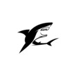 Illustration vector graphic template of shark silhouette logo