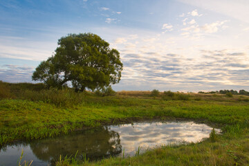 Wall Mural - beautiful red pink dawn by the river