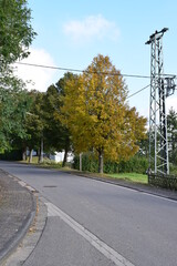 Poster - Dorfstraße in Aremberg mit Herbstbaum