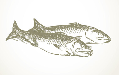 Sticker - Vector fishes still life from the biblical story