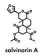 Salvinorin A entheogen molecule. Psychotropic molecule from Salvia divinorum. Skeletal formula.
