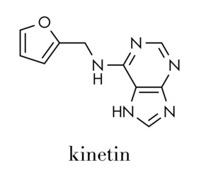 Poster - Kinetin (N6-furfuryladenine) plant hormone molecule. Promotes cell division in plants. Used in skin care and cosmetics for supposed anti-aging properties. Skeletal formula.