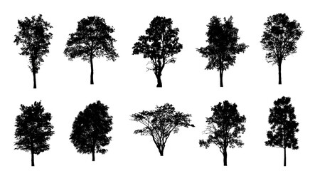 Poster - Set of trees silhouette for brush on white background