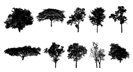 Poster - Set of trees silhouette for brush on white background