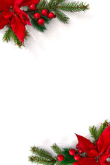 Wall Mural - christmas decoration. frame of flowers of red poinsettia, branch christmas tree, red berries on whit
