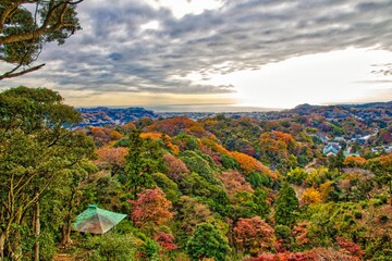 Canvas Print - Kamakura autumn in Japan