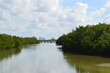 A River and view to Bonita springs in Florida 