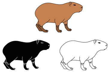 Wall Mural - Capybara Clipart Set - Outline, Silhouette and Colored