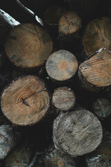 Poster - Vertical shot of a pile of wood logs