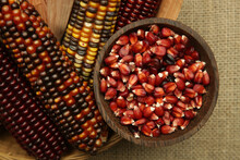 Decorative Indian Corn Seeds In Bowl. Multi Colored Flint Corn On Wooden Background With Copy Space.