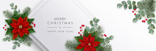 Merry Christmas Background With Flowers, Fir Branches