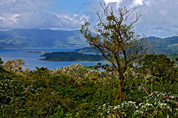 Wall Mural - Lago Arenal. Costa Rica.