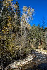 Wall Mural - The Pecos River in New Mexico’s Pecos River Canyon State Park in the Sangre de Cristo Mountains