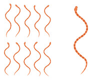 Animal Animation Sequence Corn Snake Cartoon Vector