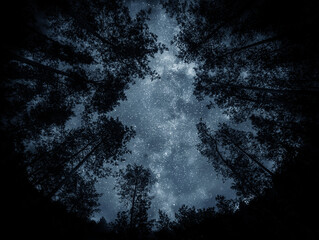 Wall Mural - view of the stars and the milky way against the backdrop of the forest. night starry sky over the fo