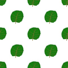 Poster - Linden leaf pattern seamless background texture repeat wallpaper geometric vector