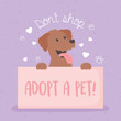 dont shop, adopt a pet