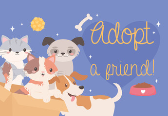 adopt a friend