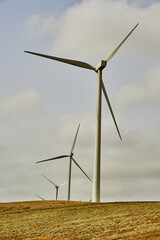 Poster - Vertical shot of the wind turbines against the background of the sky.