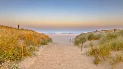 Poster - Landscape view of sand dune on the North sea coast