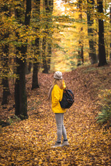 Wall Mural - hike in autumn forest. tourist woman with backpack walking in woodland footpath at fall season