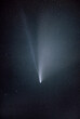 Neowise comet