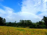 Fototapeta Krajobraz - rainbow, landscape, scenery, scene, view, A landscape with a rainbow