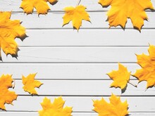 Autumn Composition Of Yellow Maple Leaves On White Wooden Background With Sunlit And Shadows. Creative Minimal Concept. Flat Lay, Top View