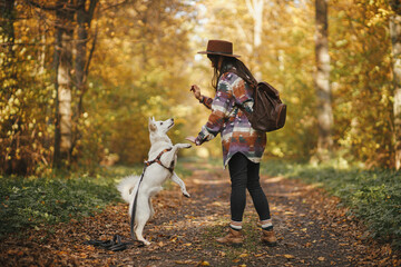 Sticker - Stylish woman in hat with backpack training cute dog in sunny autumn woods. Teamwork. Young female hipster giving five to swiss shepherd white dog. Travel and hiking with pet.