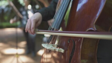 Sticker - A closeup shot of a musician playing the cello