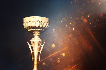 Wall Mural - image of gold trophy over dark background, with abstract shiny lights