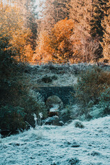 Wall Mural - Beautiful sunrise morning with frozen grass meadow landscape and warm light tones. A calm relax outdoor morning in the autumn mountains. Frosty nature morning in the Harz mountains