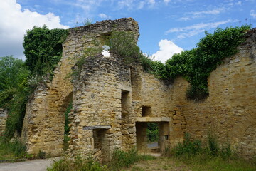 Wall Mural - ruins of an castle gate entrance in france