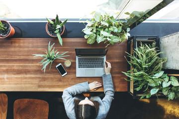 View from above. An adult girl uses a laptop. She is working or studying. There are many houseplants in pots on the table.