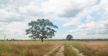 Sticker - summer landscape