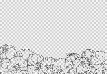 Outline group of pumpkins hand draw with brush style isolated on png or transparent texture,Halloween party background ,element template for poster,brochures, online advertising,vector illustration