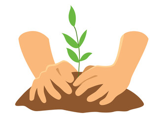 Wall Mural - hands planting a tree