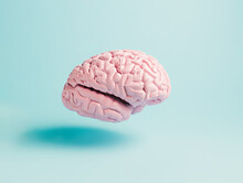 Pink Human Brain Floating And Flying Over Pastel Blue Background. Creative Thinking Concept. Medical Anatomical Body Part. Minimal Artificial Intelligence Composition.