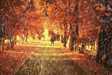 rain background autumn landscape park, abstract seasonal nobody weather october landscape