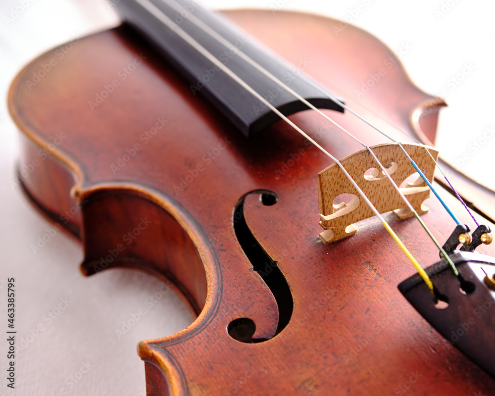 Violín acústico clásico sobre fondo blanco Stock Photo | Adobe Stock