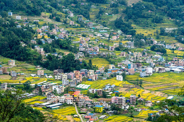 Wall Mural - Rice Fields in Kathmandu