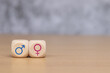 © Sai - Male and female symbols on wooden cube. concept of gender equality