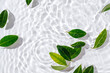 © igishevamaria - Green leaves on water surface. Beautiful water ripple background for product presentation. Copy space