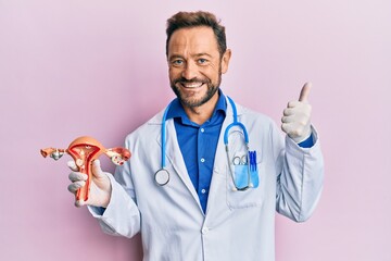 Sticker - Middle age gynecologist man holding anatomical model of female genital organ smiling happy and positive, thumb up doing excellent and approval sign