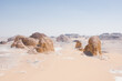 Desert Dunes and Beauty