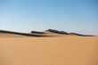 Desert Dunes and Beauty