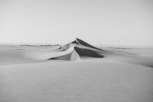 Desert Dunes And Beauty