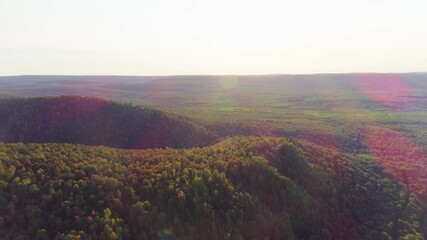 Wall Mural - Aerial video of mountains, road and summer forest