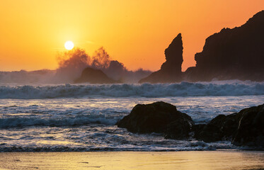 Canvas Print - Olympic coast