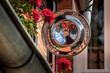in einem runden Teller am Haus spiegelt sich die Straße der Altstadt umrahmt von Blüten